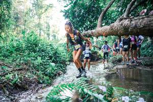 BIB: 
                            <button type="button" onclick="openModal(25447946)" class="btn btn-primary btn-sm float-right btn-popup" data-toggle="modal" data-target=".modal-high-quality">
                        <i class="fas fa-shopping-cart"></i> Add to Cart
                    </button>
                                            <button type="button" onclick="isThisMe(25447946, true)" class="btn btn-success btn-sm float-right btn-popup btn-isme hidden" data-toggle="tooltip" data-placement="bottom" title="นี่คือรูปของคุณใช่ไหม คลิกที่นี่เพื่อเอาเข้าอัลบั้ม">
                        <i class="fas fa-plus"></i> Add to album
                    </button>
                    <button type="button" onclick="isThisMe(25447946, false)" class="btn btn-warning btn-sm float-right btn-popup btn-isnotme hidden">
                        <i class="fas fa-ban"></i> Remove from album
                    </button>